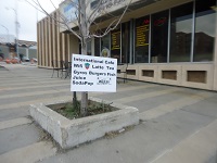  yard signs 